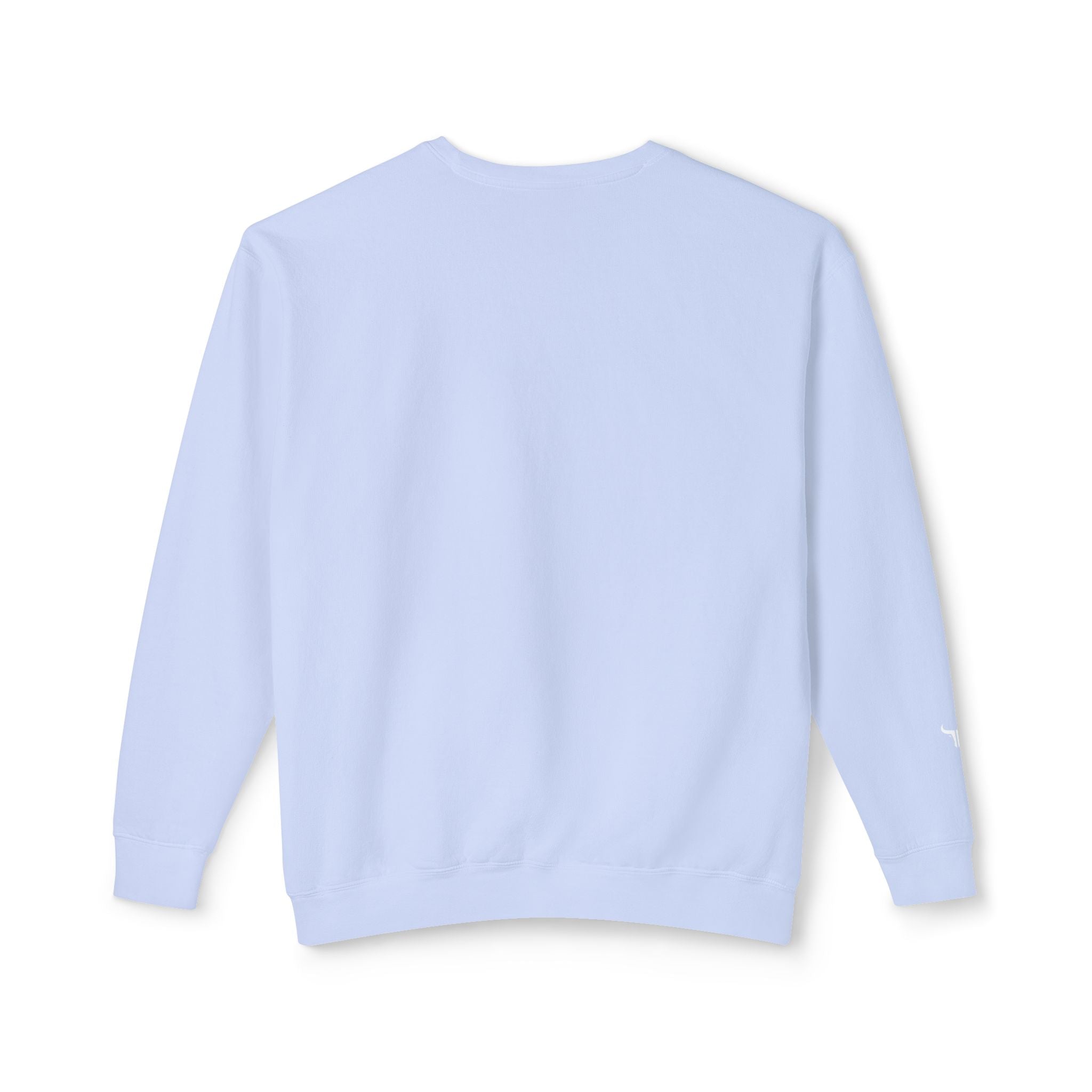 John 3:16 Crewneck Sweatshirt — IYKYK Bible Verse Christian Pullover